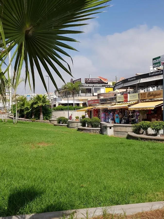 Apartment Orlando Tenerife Sur MIKEY Costa Adeje